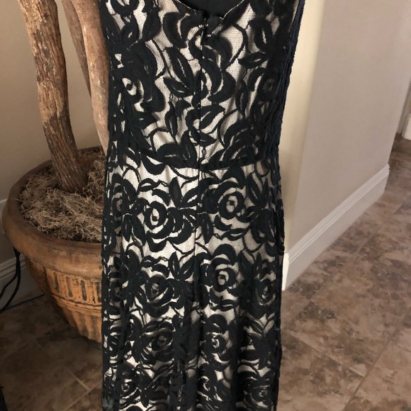 Tahari Black/Cream Lace Dress - Picture 4 of 8